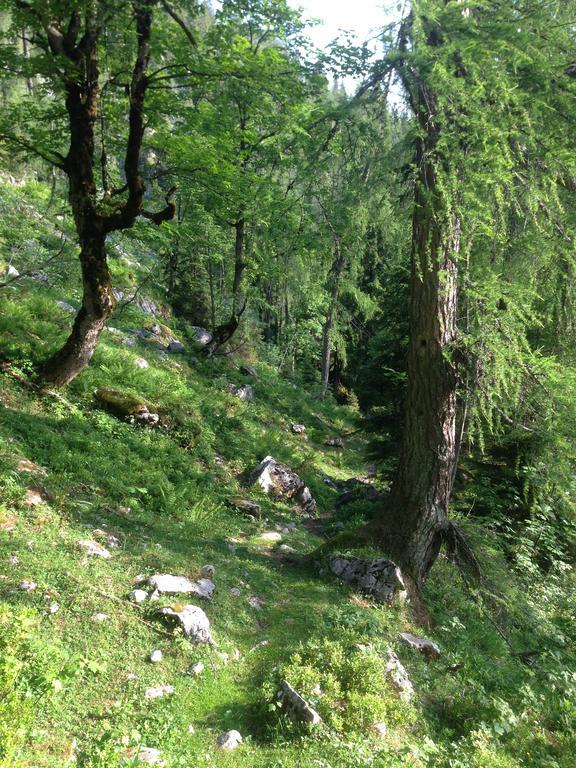 Alte Zimmerei - Лофер Экстерьер фото